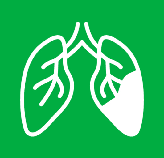 Yeşilay Danışmanlık Merkezi Bülten - Şubat 2026